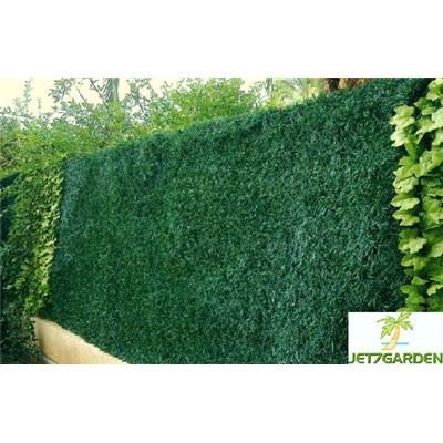 Haie artificielle - 243 Brins - 1.50mx3m - Vert Thuyas