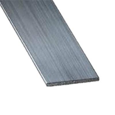 Large plat - 400 X 10mm - 6 ML