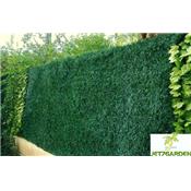 Haie artificielle - 243 Brins - 1.50mx3m - Vert Thuyas