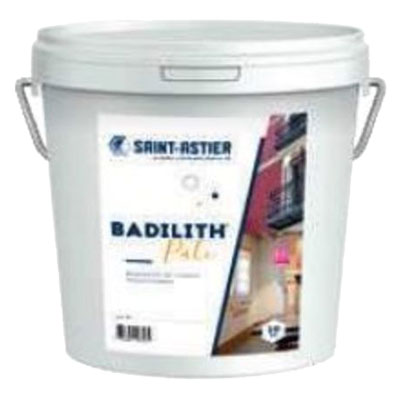 ASTIER - BADILITH PATE BLANC - 10 Kg