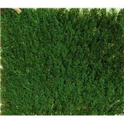 Plaques Clipsables Thuya - 50x50cm