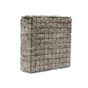 Sphaigne en module grillag - 41x41x11 cm