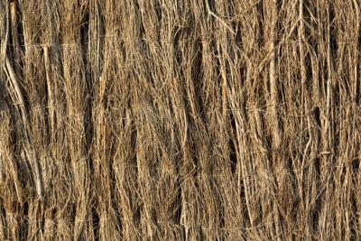 Clture en brande de bruyre